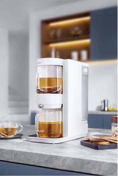 id="ureuz065hjer">2024年上市,产品结合了泡茶与煮茶