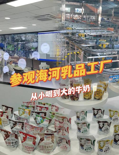 天津海河牛奶工厂探秘之旅